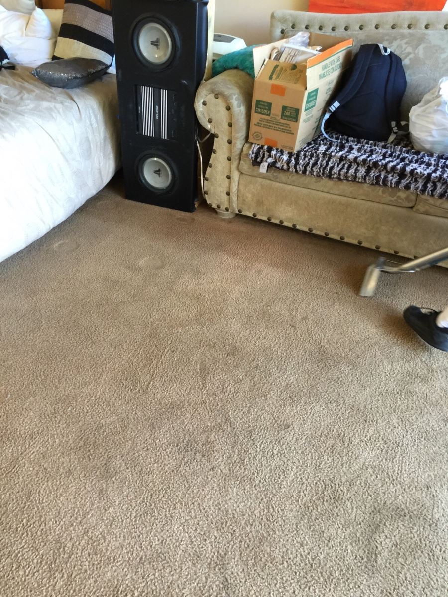 Residential Carpet Cleaning